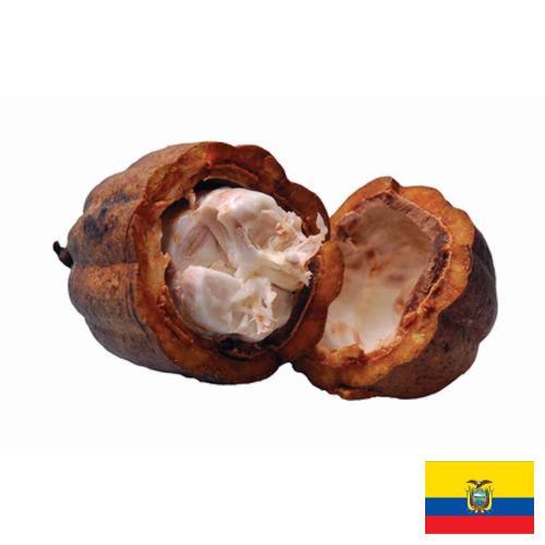 Какао масло из Эквадора
