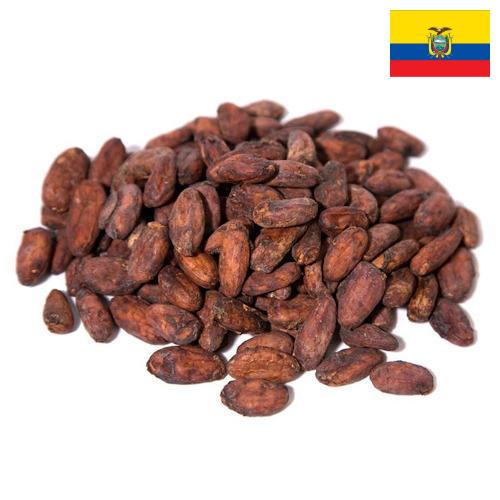 какао-бобы из Эквадора