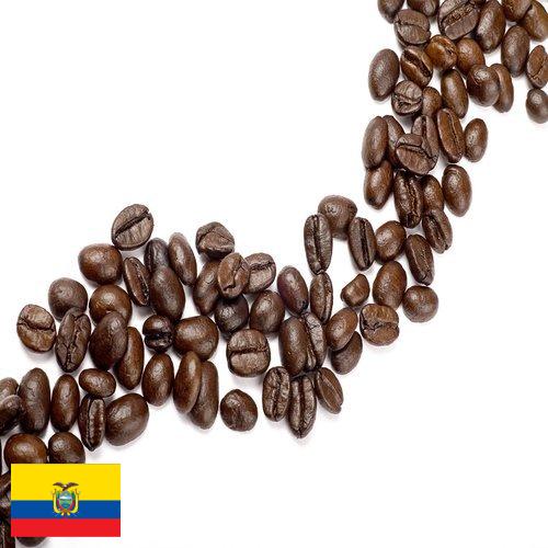 Кофе в зернах из Эквадора