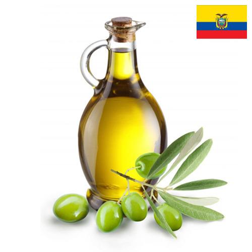 Масло оливковое из Эквадора