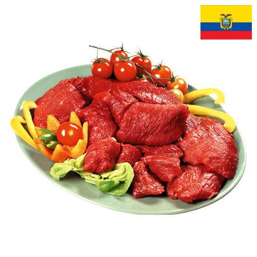 Мясные продукты из Эквадора