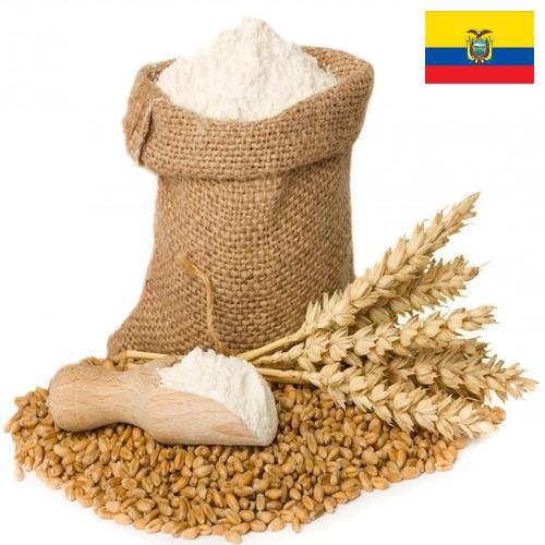 Пшеничная мука из Эквадора
