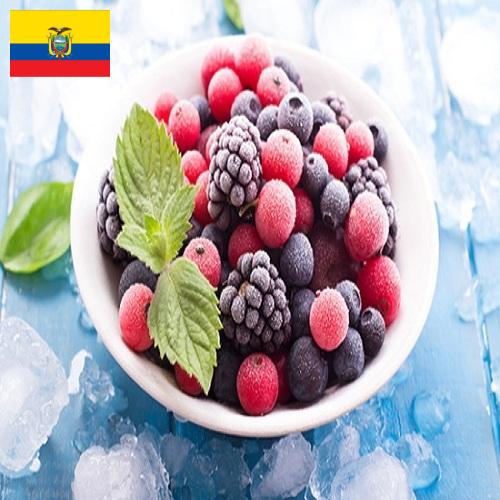 Замороженные фрукты из Эквадора