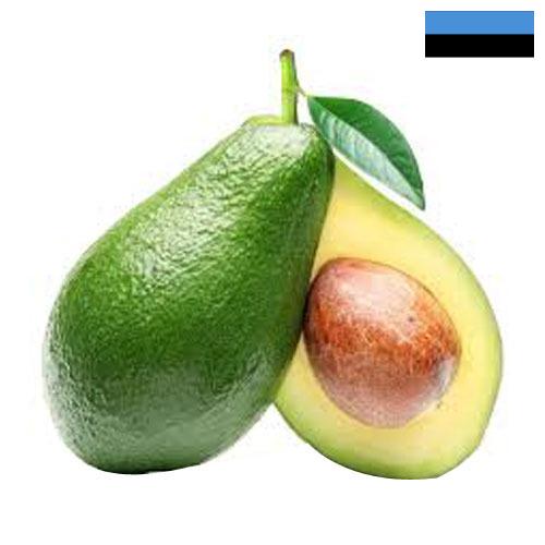 Авокадо из Эстонии