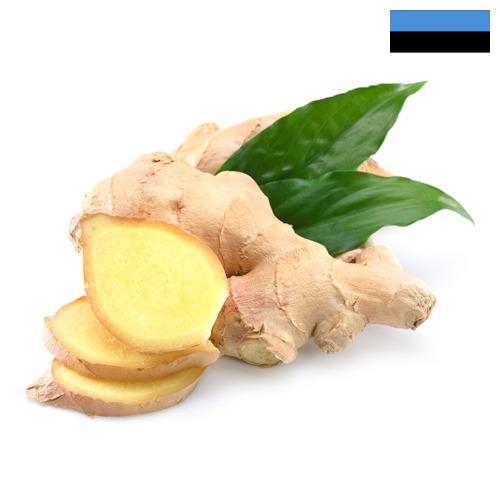 Имбирь из Эстонии