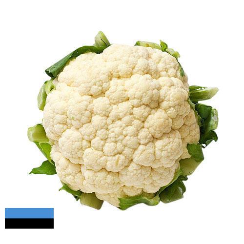 Капуста цветная из Эстонии