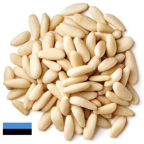 Кедровые орехи из Эстонии