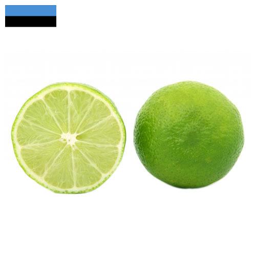 лайм из Эстонии