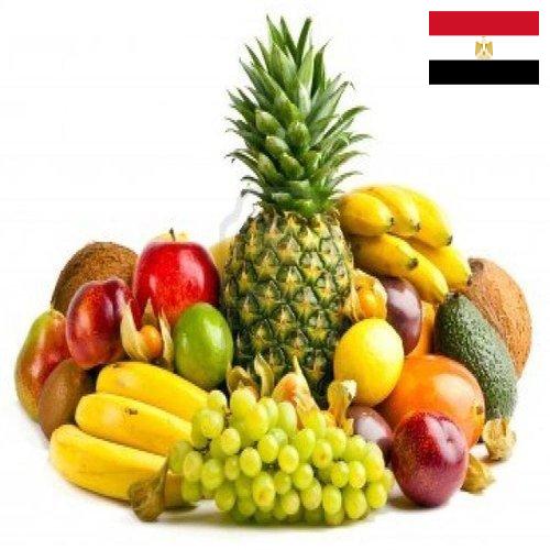 фрукты свежие из Египта