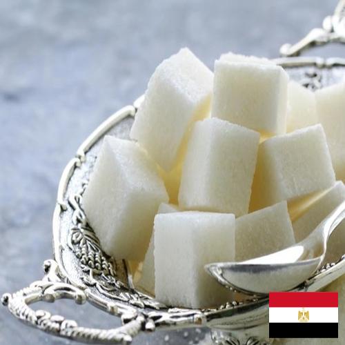 Камфора из Египта