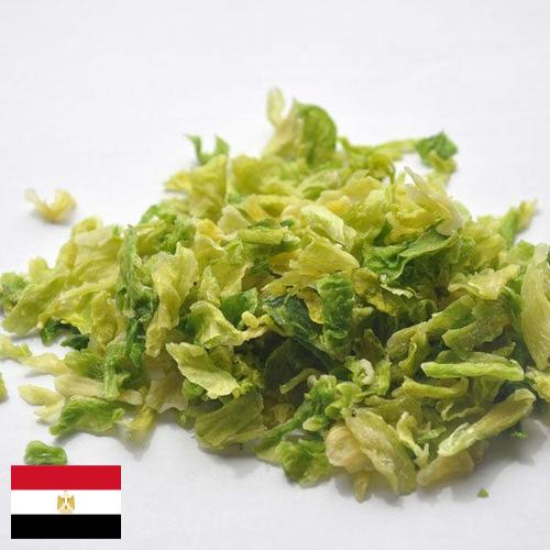 капуста сушеная из Египта