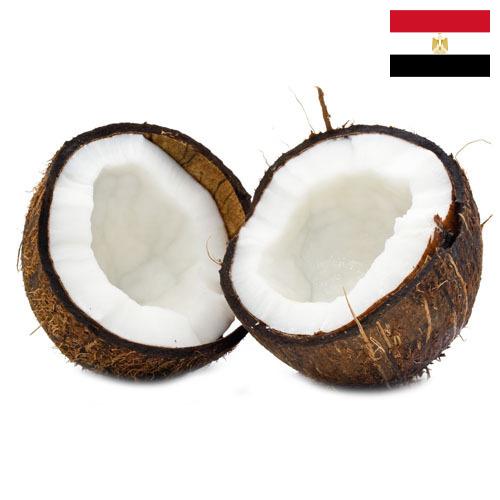Кокосы из Египта