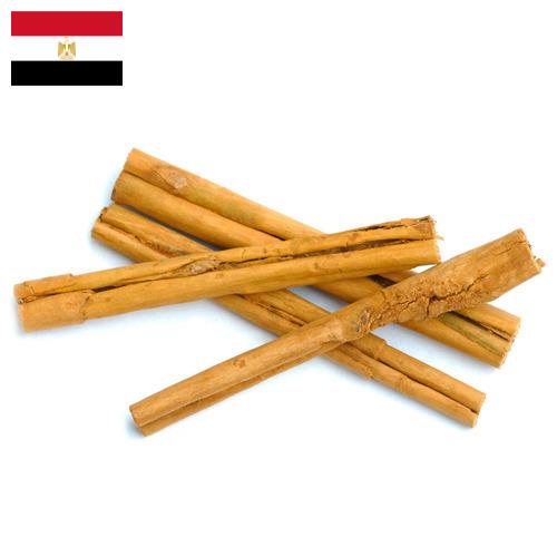 Корица из Египта