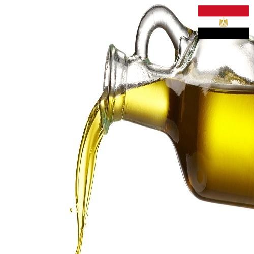 масло рафинированное из Египта