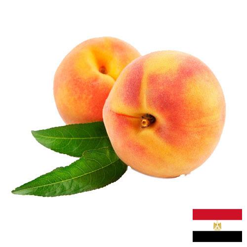 Персики из Египта