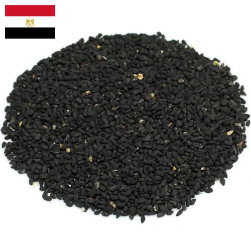 семена черного тмина из Египта