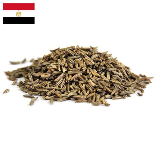 Семена фенхеля из Египта