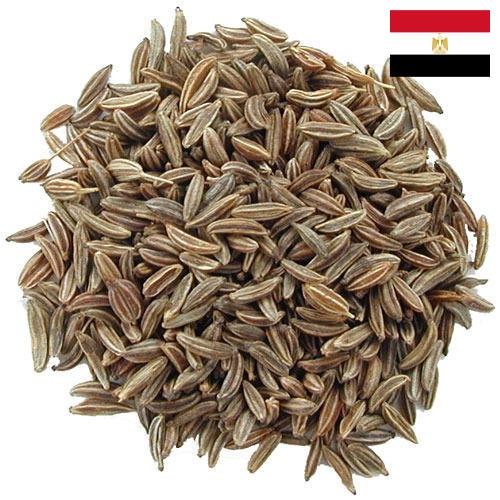 Семена тмина из Египта