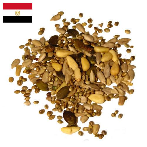 Семена из Египта