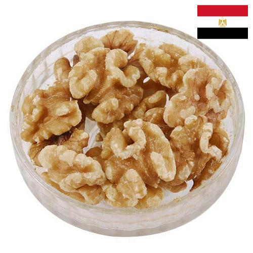 Ядра орехов из Египта