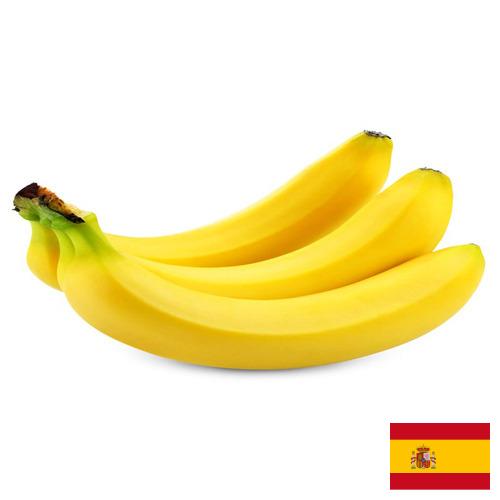 Бананы из Испании
