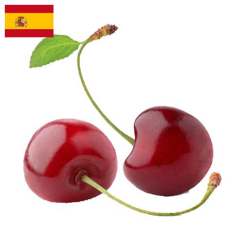 Черешня из Испании