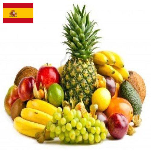 фрукты свежие из Испании