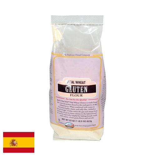 глютен пшеничный из Испании