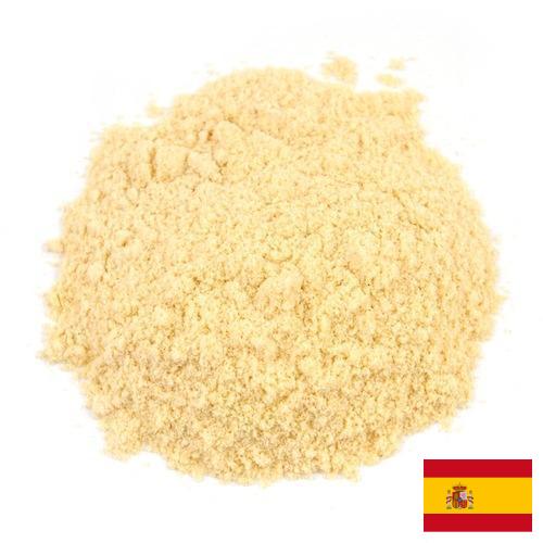 Горчичный порошок из Испании
