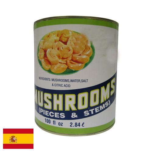 Грибы консервированные из Испании