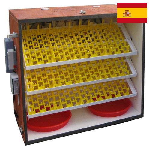 Инкубаторы для яиц из Испании