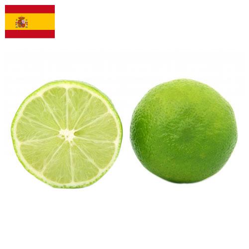 Известь из Испании