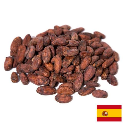 какао бобы из Испании
