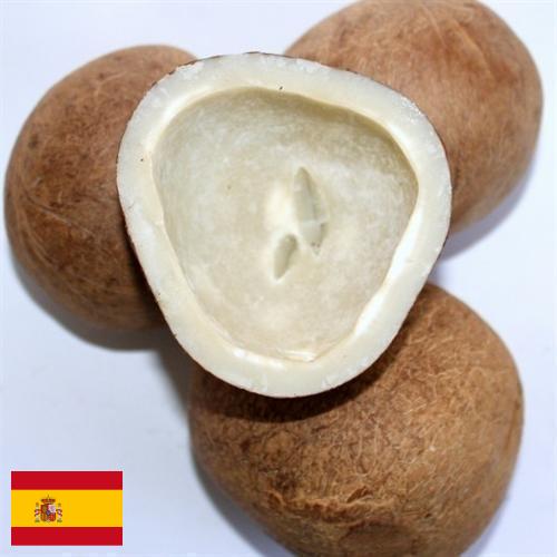 Кокос сушеный из Испании