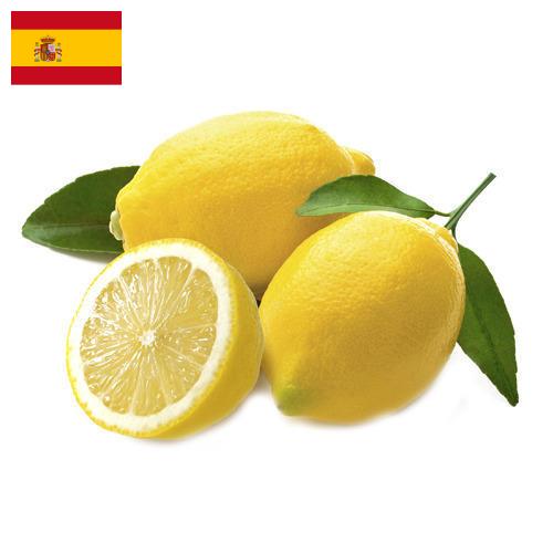 лимон свежий из Испании