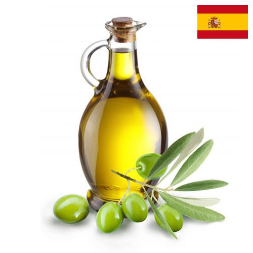 Масло оливковое из Испании