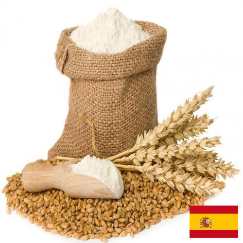 мука пшеничная хлебопекарная из Испании