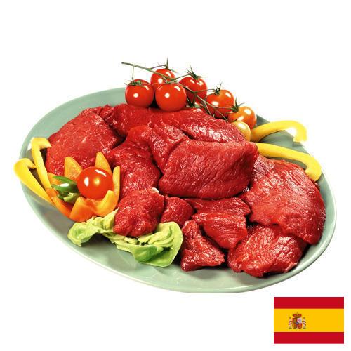 мясная продукция из Испании