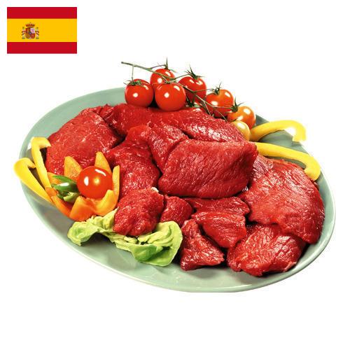 Мясные полуфабрикаты из Испании
