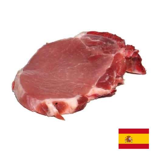мясо свинина из Испании