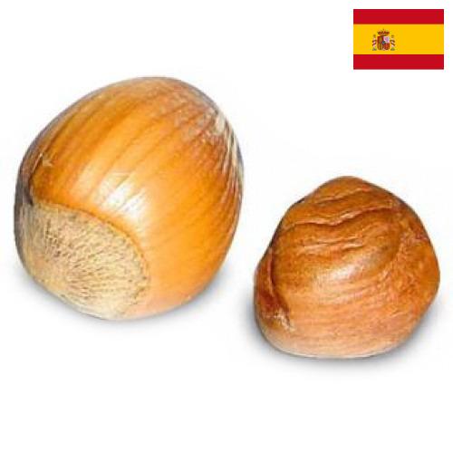 орех фундук из Испании