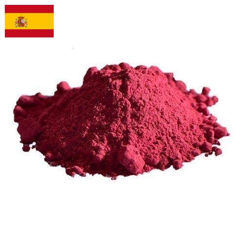 Овощные порошки из Испании