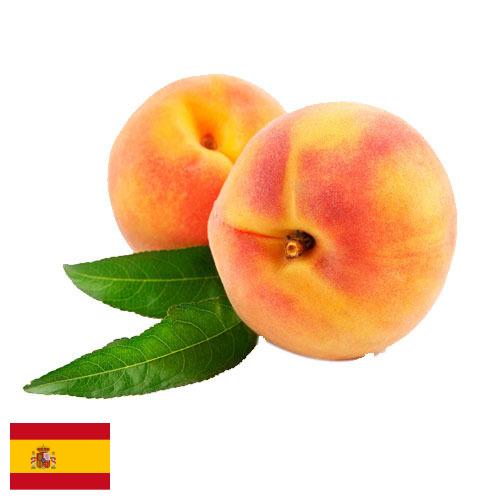 Персики из Испании