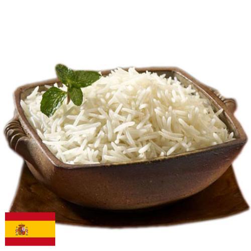 рис пропаренный из Испании