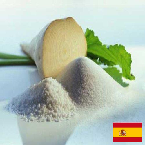 сахар свекловичный из Испании