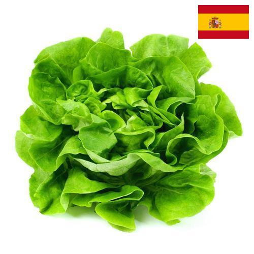 салат из Испании