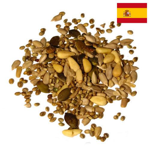 Семена из Испании