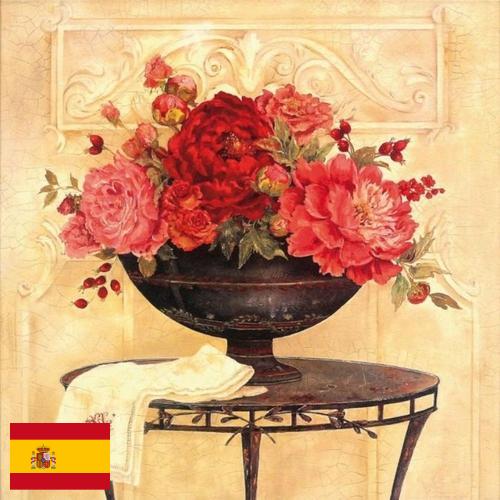 Шторы декоративные из Испании