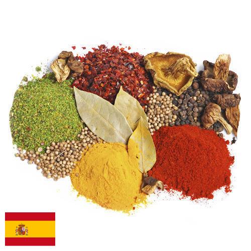Специи и пряности из Испании
