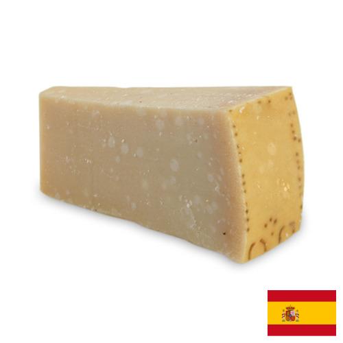 сыр пармезан из Испании